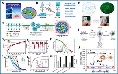 Nanomaterials based on thermosensitive polymer in biomedical field